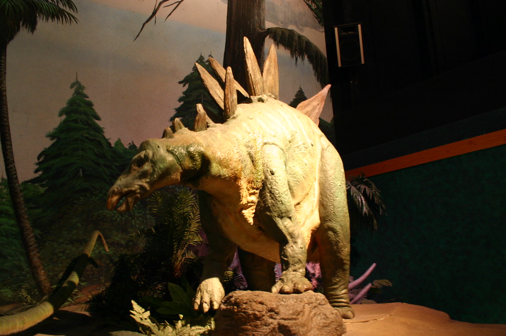 The Thermoregulation Theory Takes Center Stage (Image Credits: Flickr)