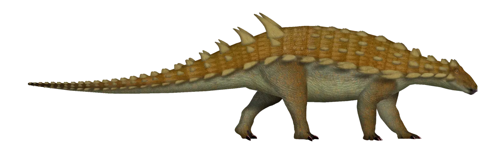 The Punk Rock Dinosaur That Rewrote Armor Evolution (Image Credits: Wikimedia)