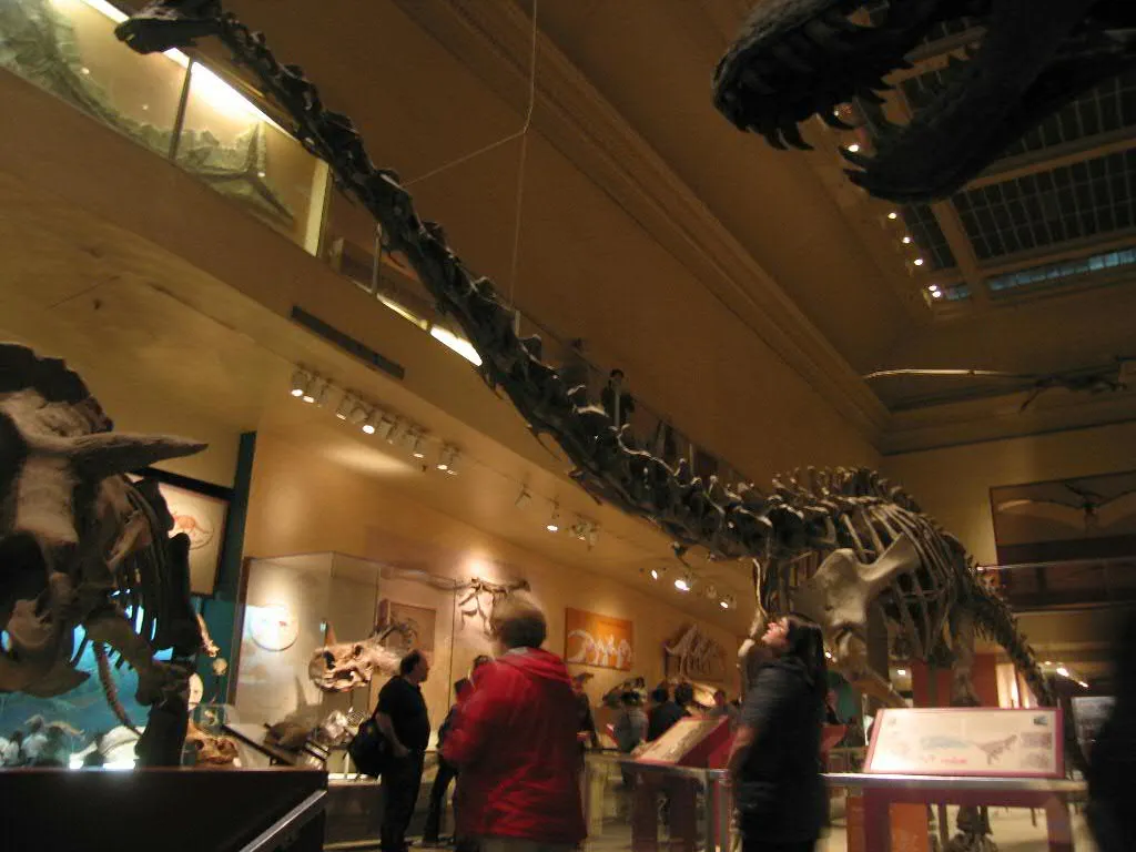 The Surprise Comeback: When Brontosaurus Returned (ivanlanin, Flickr, CC BY-SA 2.0)