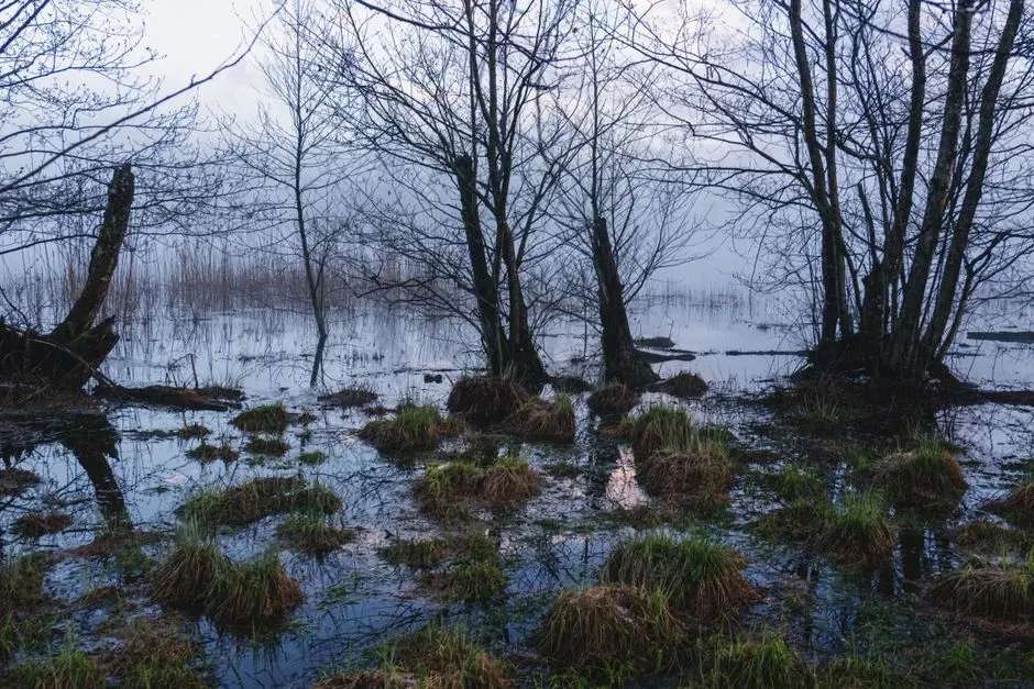 How the atmosphere itself shaped the ancient soundscape (Image Credits: Pexels)