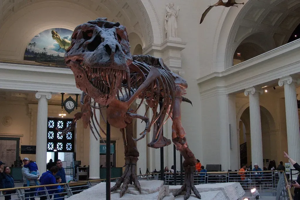 The Fossil That Sparked a Culture War Over Who Owns Deep Time (Gunnar Ries zwo, Flickr, CC BY-SA 2.0)