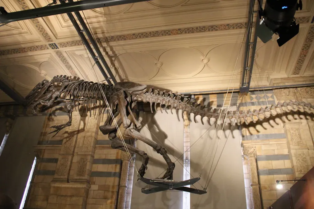 6. Your Turning Rudder: Steering and Stabilizing During Fast Moves (Image Credits: Flickr)