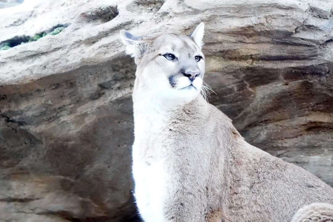 Awakening Your Psychic Senses and Intuition (Image Credits: Unsplash)