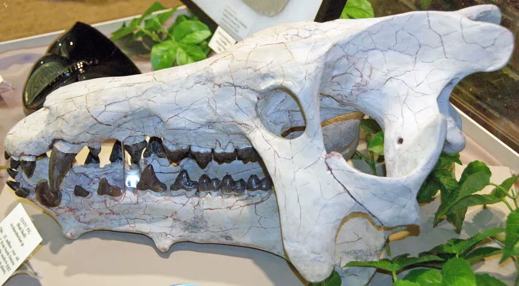 6. They Used Giant Bones As Proof Of Moral Lessons And Social Rules (James St. John, Flickr, CC BY 2.0)