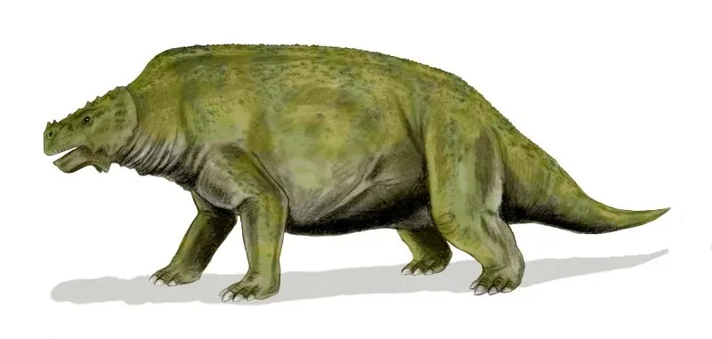 Scutosaurus: The Armored Herbivore Prey (Image Credits: Wikimedia)