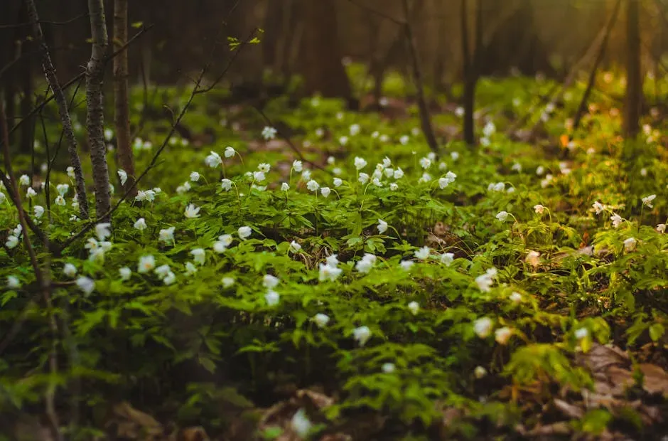 You Watch Plants Reinvent Forests With Flowers (Image Credits: Pexels)