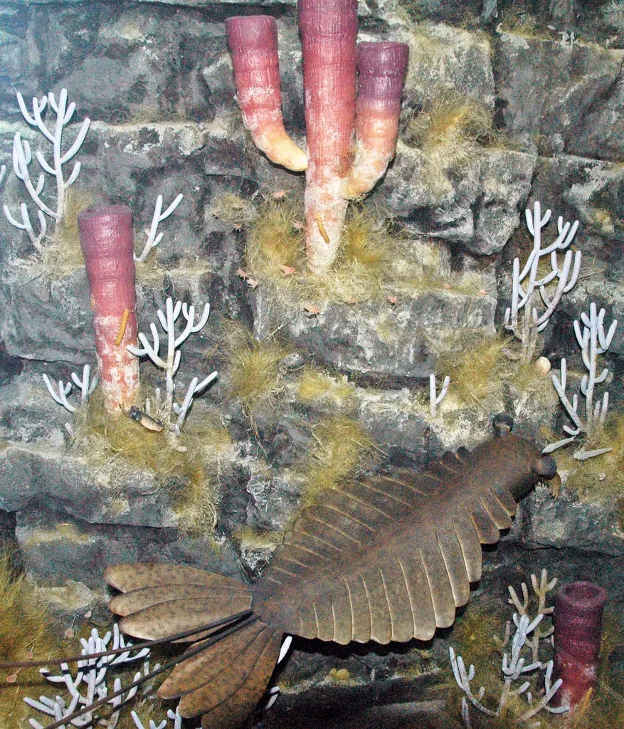 7. Anomalocarids: Camouflage on the Cambrian Killing Floor (James St. John, Flickr, CC BY 2.0)