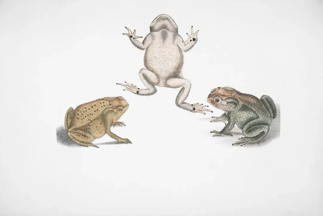 Conclusion: Evolution's Greatest Trick Is Surprise (Image Credits: Unsplash)