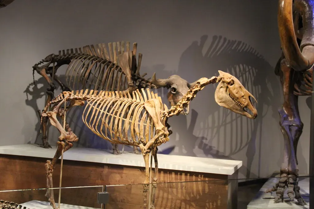 The Age of Mammals: What You Actually Find in the Badlands (Image Credits: Flickr)