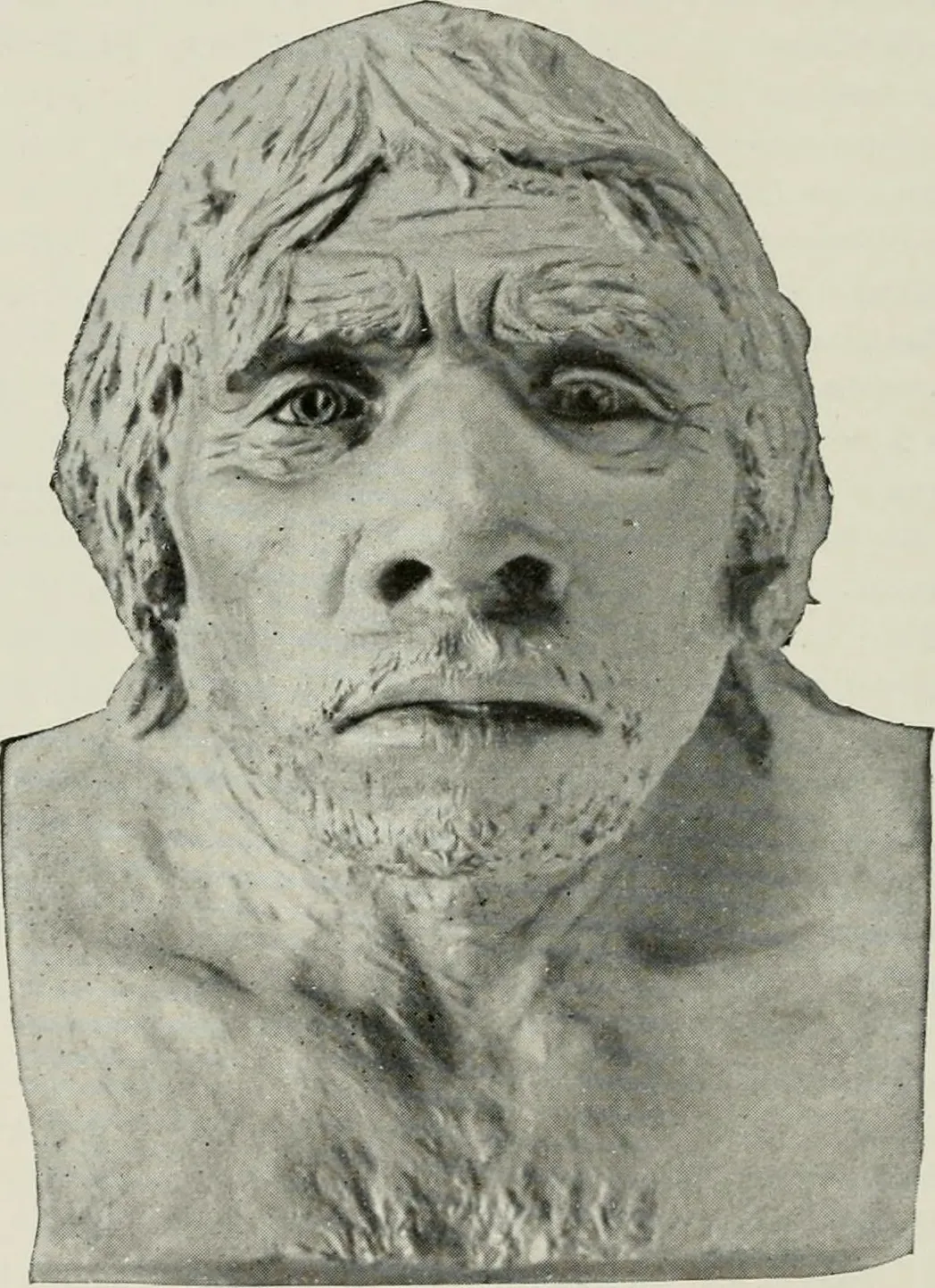 The Bottom Line (By Internet Archive Book Images, No restrictions)