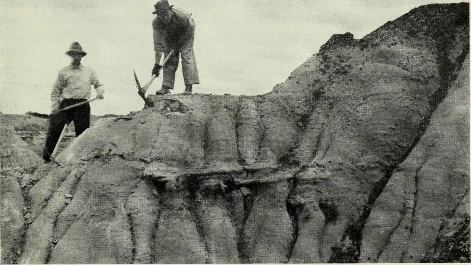 Why This One Valley Became The World’s Dinosaur Hotspot (By Internet Archive Book Images, No restrictions)