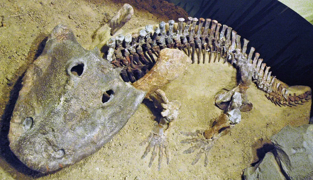 #8 - The Amphibian With Something Impossible In Its Stomach (James St. John, Flickr, CC BY 2.0)