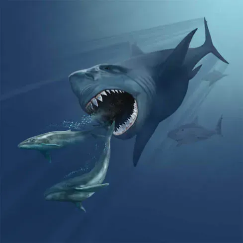 Megalodon: The Ultimate Shark Nightmare (Image Credits: Wikimedia)