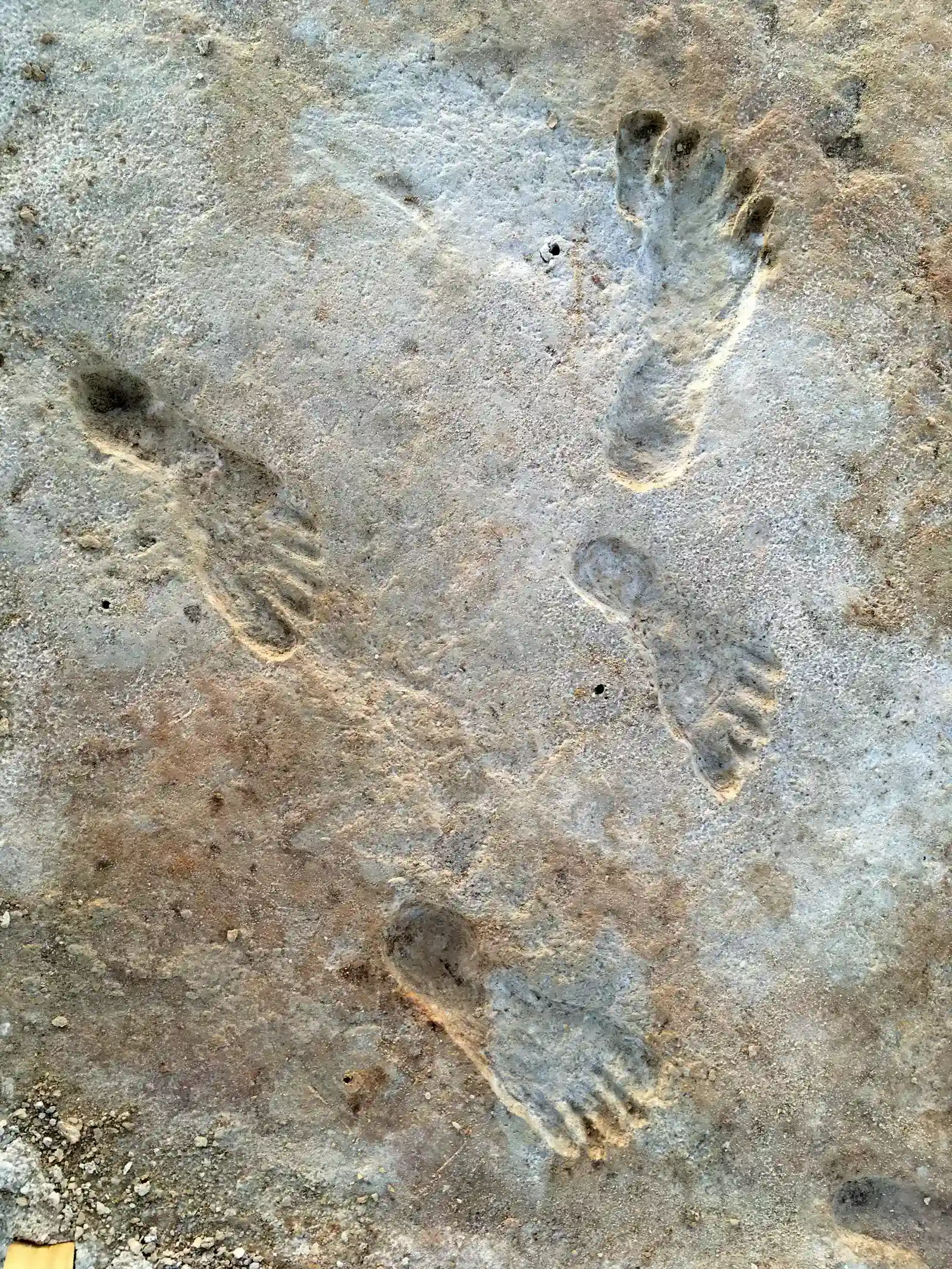 Eve's Footprint and the Oldest Modern Human Steps in South Africa (NPGallery, Public domain)