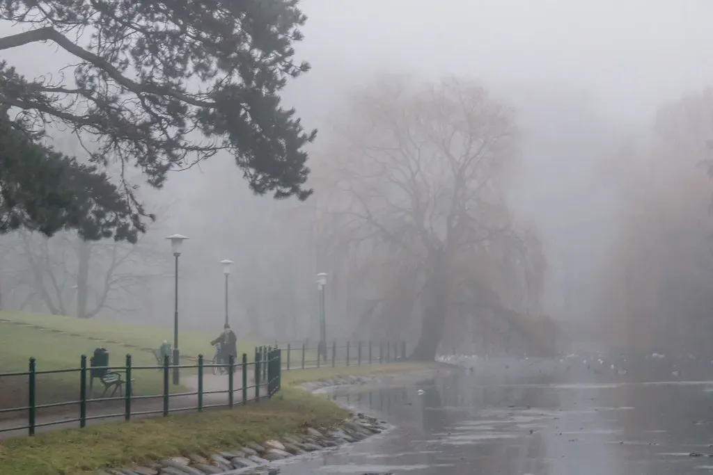 Fog and Mist: The Dreamy Intuitive (Infomastern, Flickr, CC BY-SA 2.0)