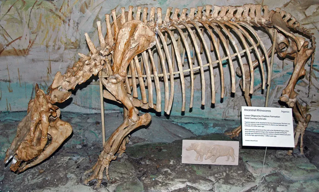 The Perfect Storm of Extinction (Image Credits: Flickr)