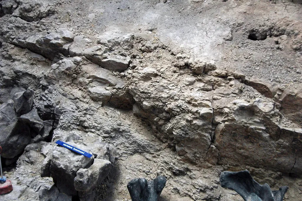 Wyoming: classic bonebeds and the business of big dinosaurs (James St. John, Flickr, CC BY 2.0)