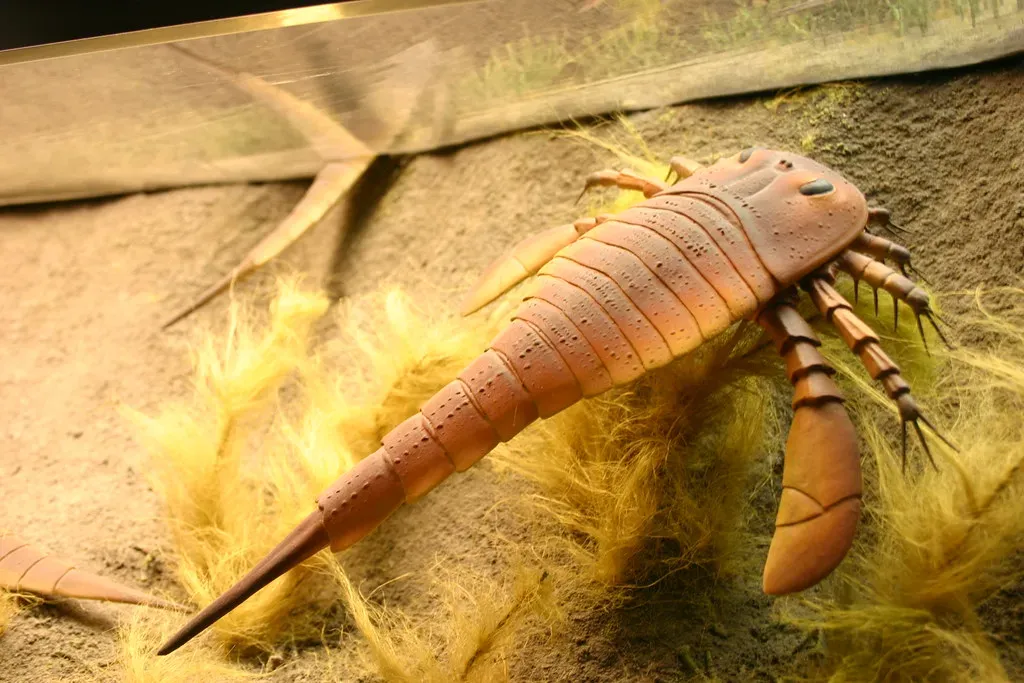 Eurypterus: The Most Common Sea Scorpion (Image Credits: Flickr)