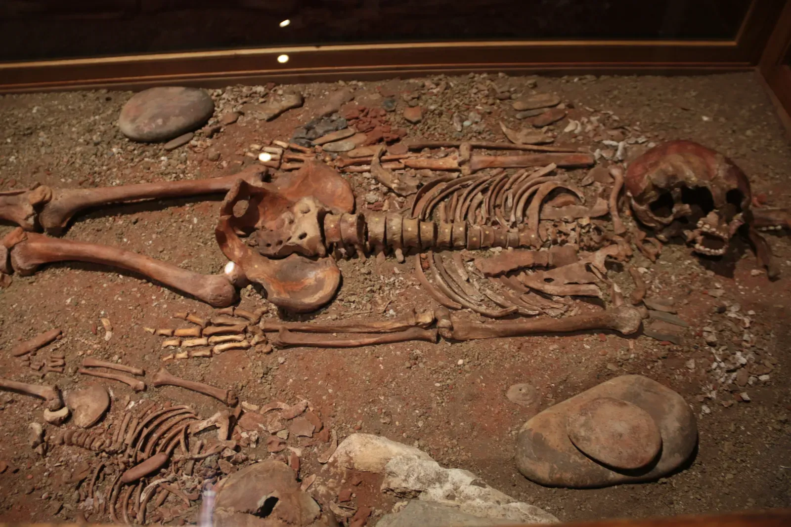 How a Child’s Grave Challenged Old Stereotypes of “Cavemen” (By Giovanni Dall'Orto, Attribution)