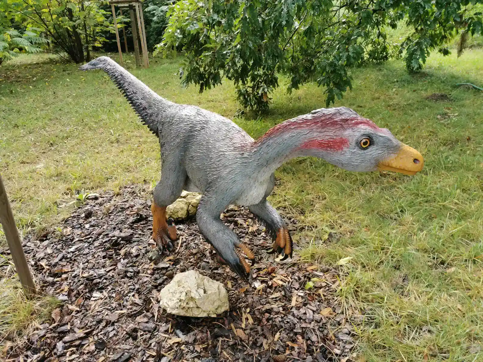 Meet Troodon - The Dinosaur That Could Have Changed Everything (Image Credits: Wikimedia)