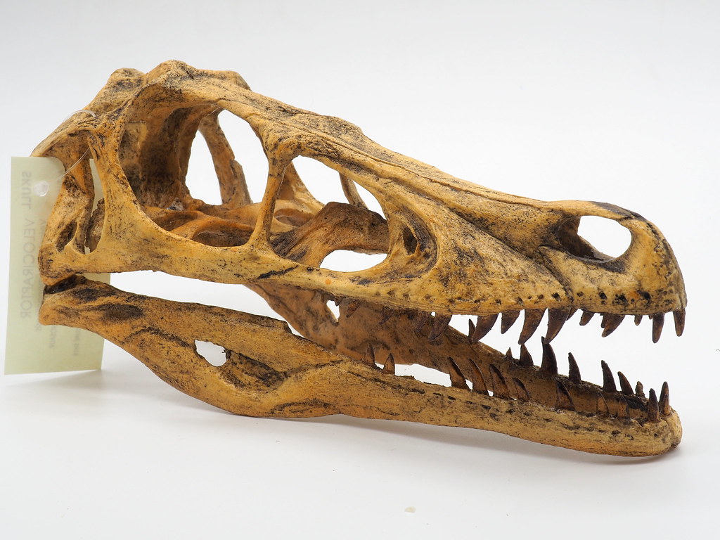 Behavioral Links Across Deep Time (Image Credits: Flickr)