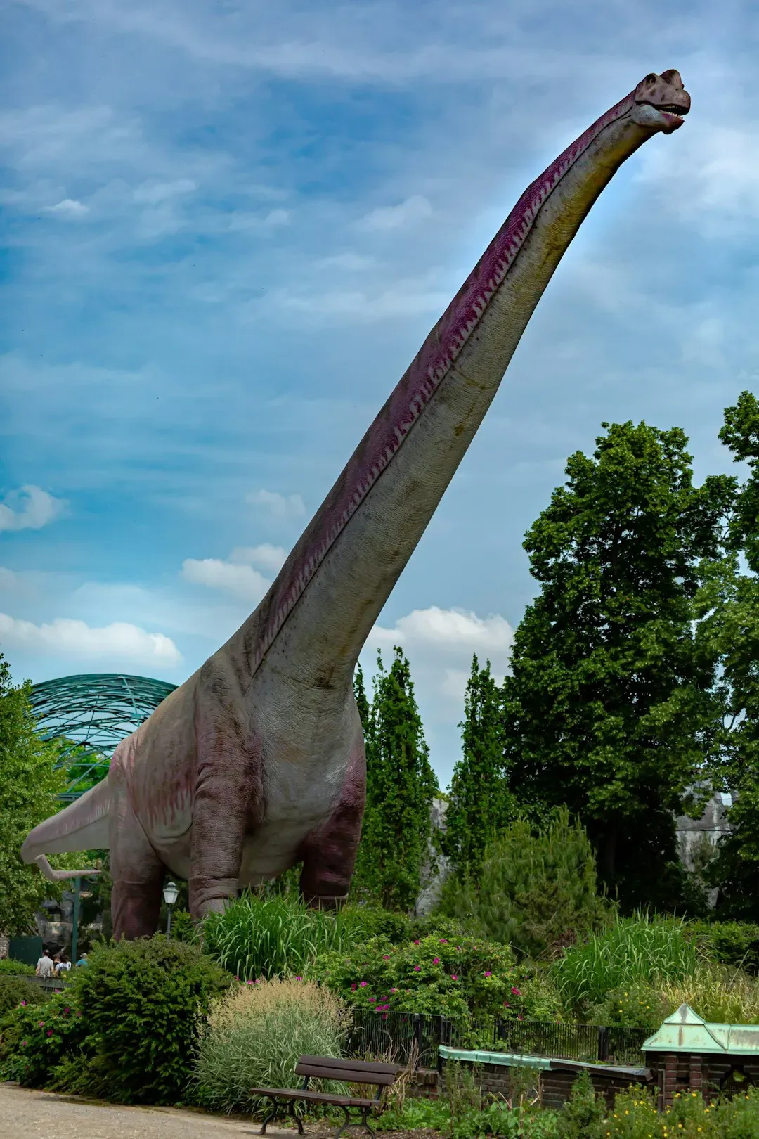 3. Some Dinosaurs Had Giant, Air-Filled Skeletons Like Living Balloons (Image Credits: Unsplash)