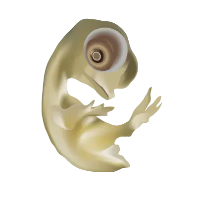 Reverse Engineering: Could Science Give a Chicken Its Dinosaur Traits Back? (Togo picture gallery, CC BY 3.0)