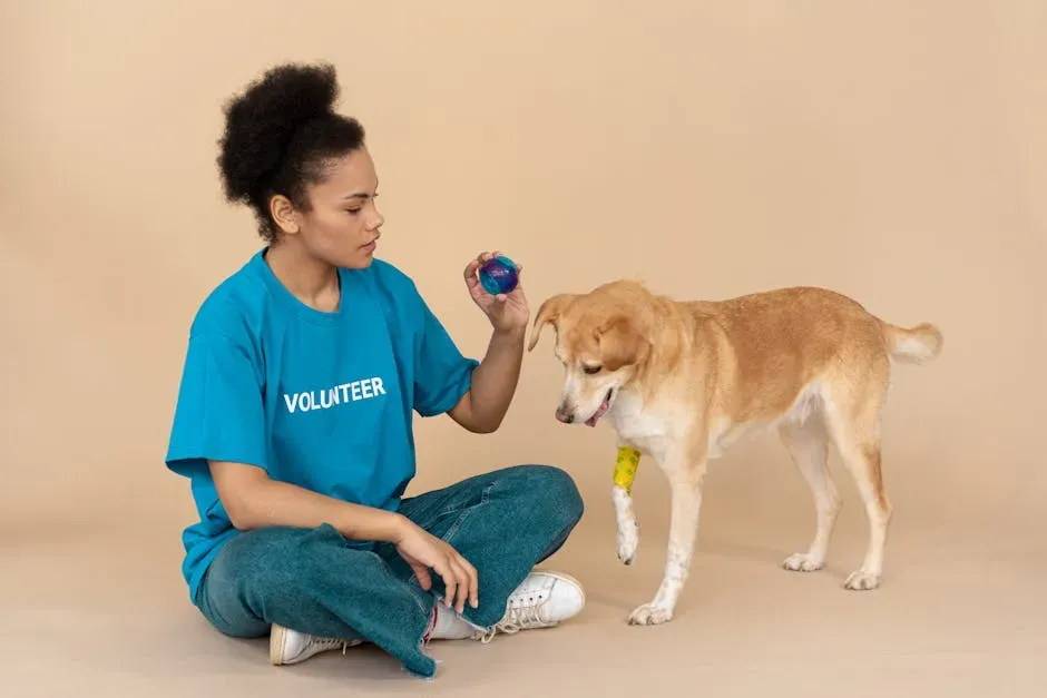 Action-Based Empathy: The Quiet Heroes of Animal Care and Protection (Image Credits: Pexels)