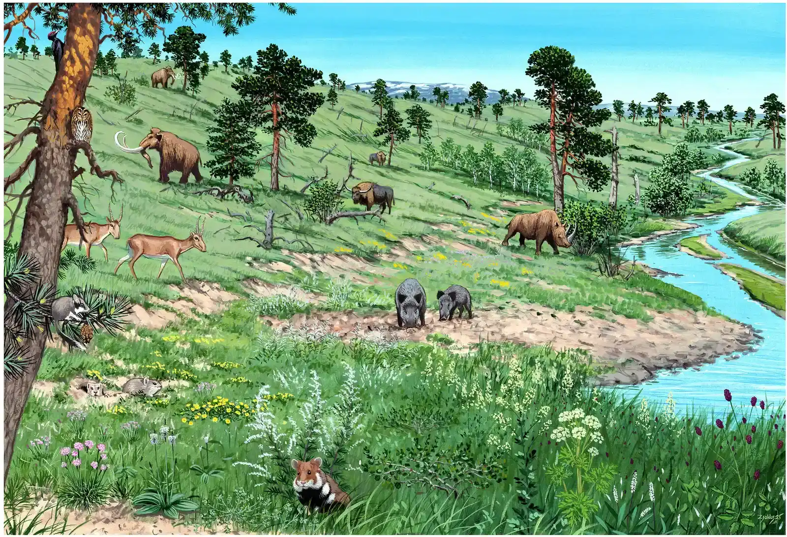The Mammoth Steppe: What It Really Was (Czyżewski, Szymon; Søndergaard, Skjold Alsted; Molnár, Ábel Péter; Kerr, Matthew Roy; Kristensen, Jeppe Aagaard; Atkinson, Joe; Trepel, Jonas; Sykut, Maciej; Radzikowski, Paweł; Termansen, Signe Sangill; Wałach, Karol; Pearce, Elena A.; Pang, Sean E.H.; Zając, Bartłomiej; Bergman, Juraj (2026-04). "Revisiting Europe's temperate forests: Palaeoecological evidence for an herbivory-driven woodland-grassland mosaic biome". Biological Conservation. 316: 111749. doi:10.1016/j.biocon.2026.111749, CC BY 4.0)