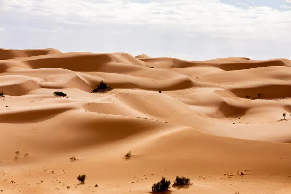 A drowned world beneath the dunes (Image Credits: Pexels)