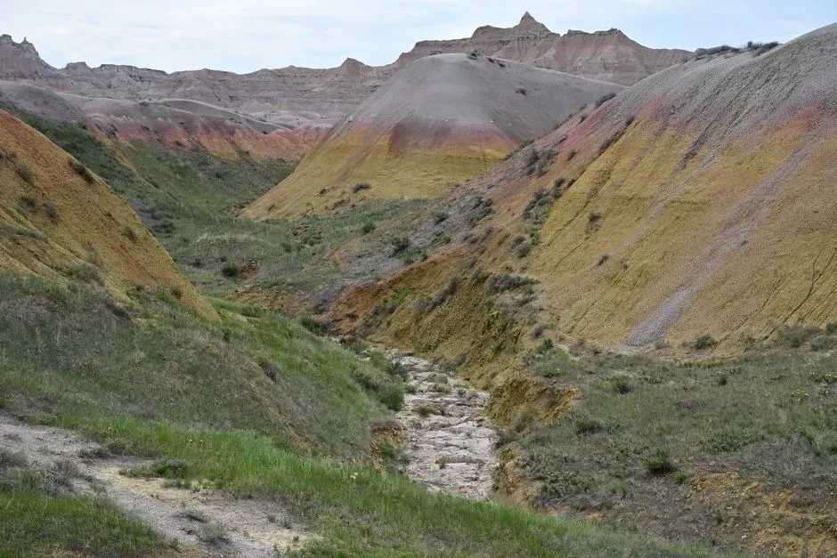The perfect time capsule: Late Cretaceous rocks right at the surface (Image Credits: Pexels)