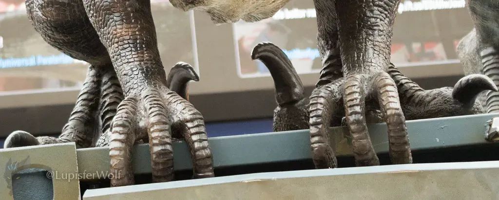 Final Thoughts: Sharpness Comes in Many Forms (lupisfer, Flickr, CC BY-SA 2.0)