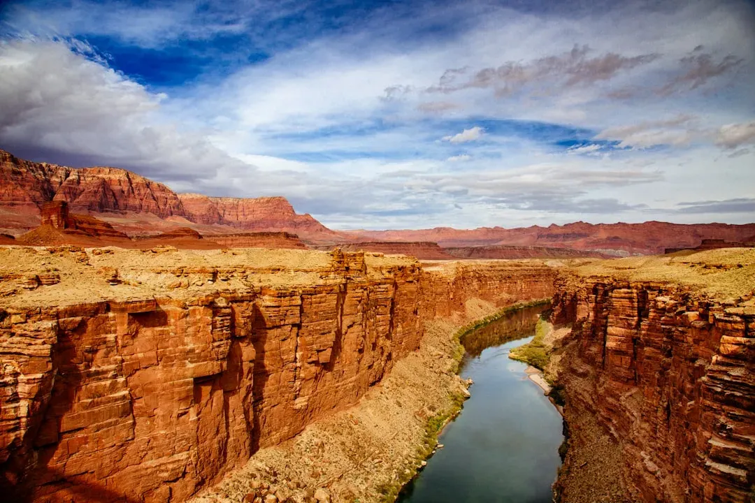 The Colorado River: The Sculptor Behind the Masterpiece (Image Credits: Unsplash)