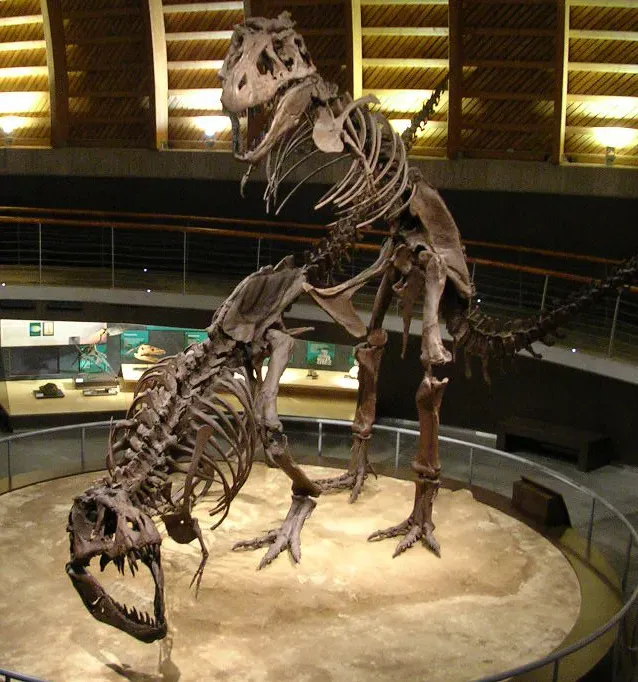 How Dinosaurs Actually Mated (Image Credits: Wikimedia)