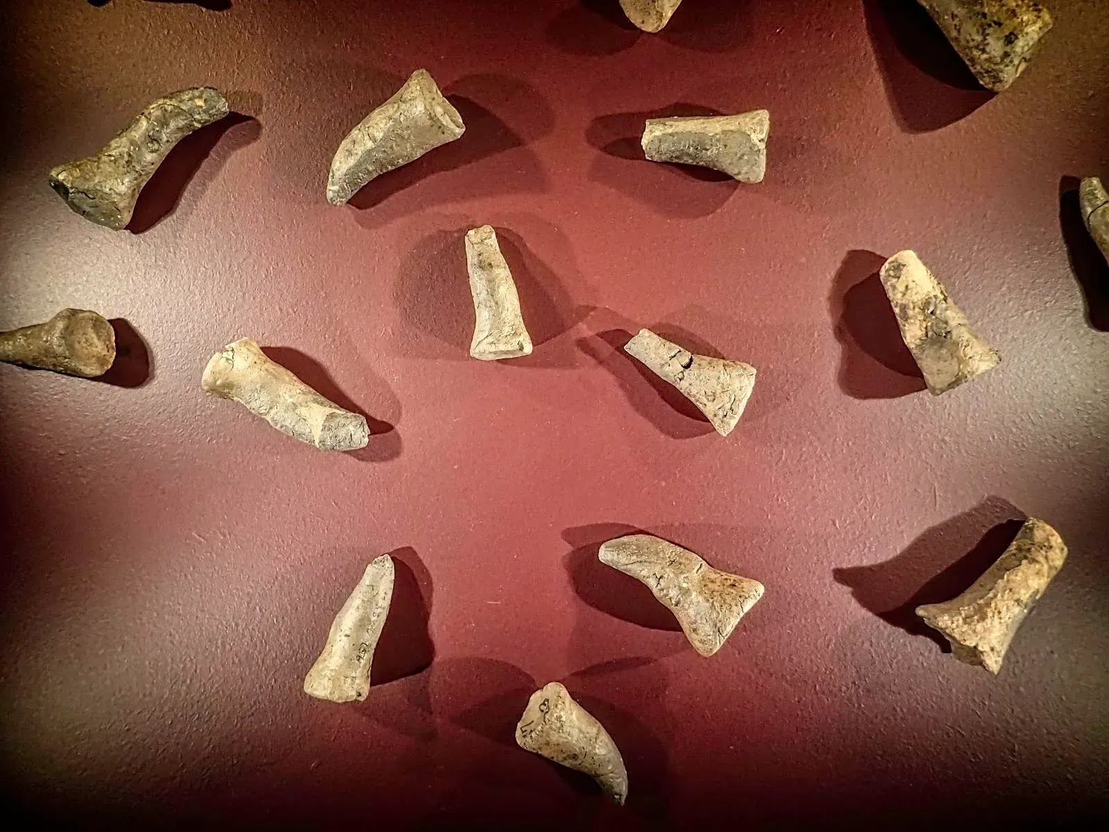 #5 - They Were Doing Math Before They Had Numbers (By Mary Harrsch, CC BY 2.0)