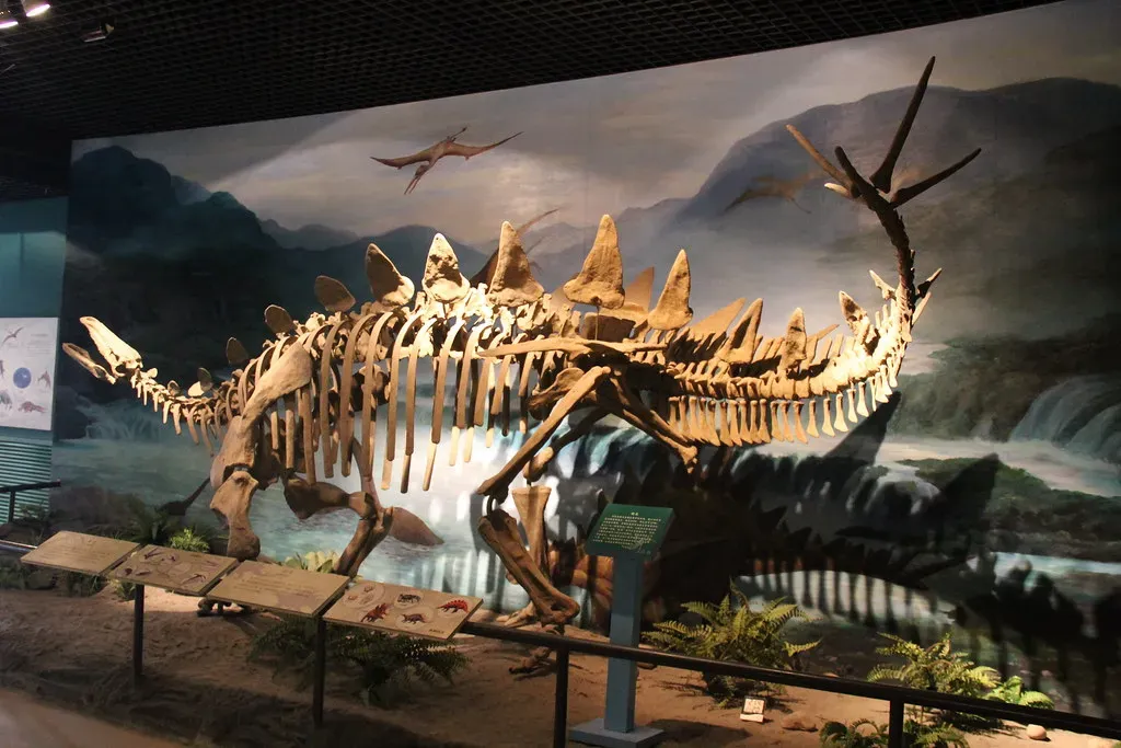 Why This Changes Our Understanding (Image Credits: Flickr)