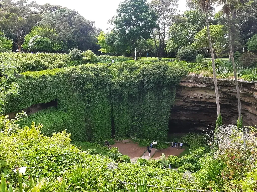 China's Giant Sinkholes Harbor Ancient Isolated Forests (Image Credits: Flickr)