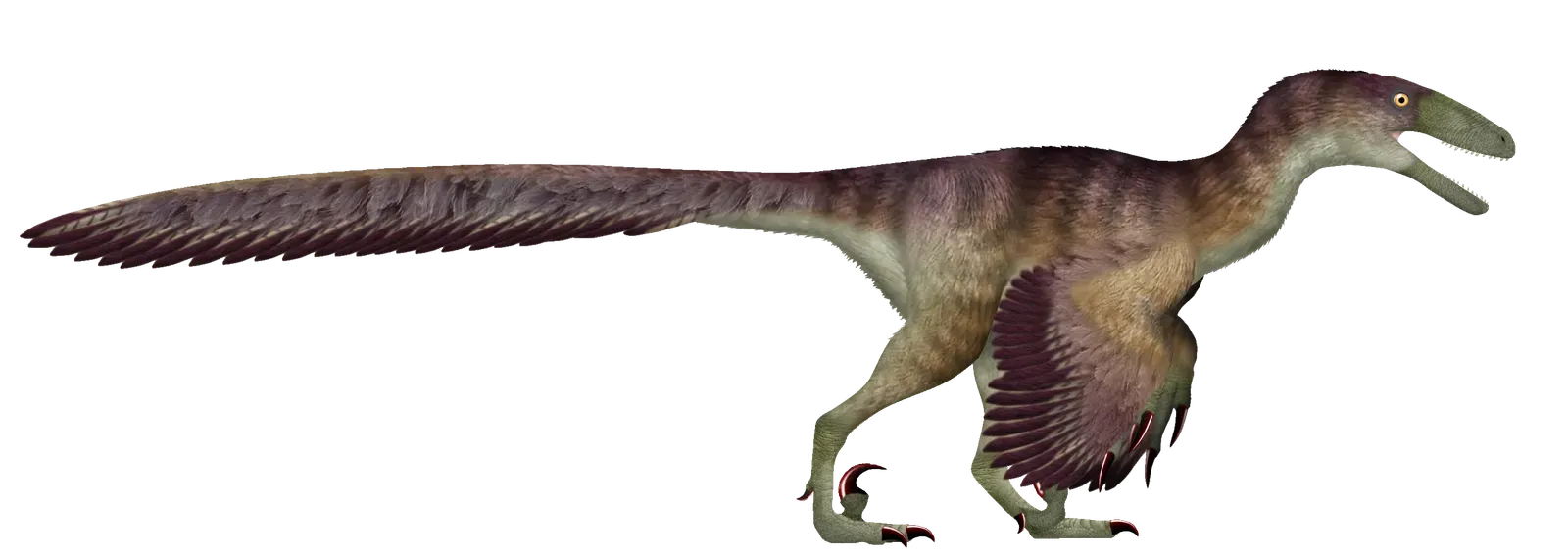 Deinonychus: The Terrible Claw (Image Credits: Wikimedia)