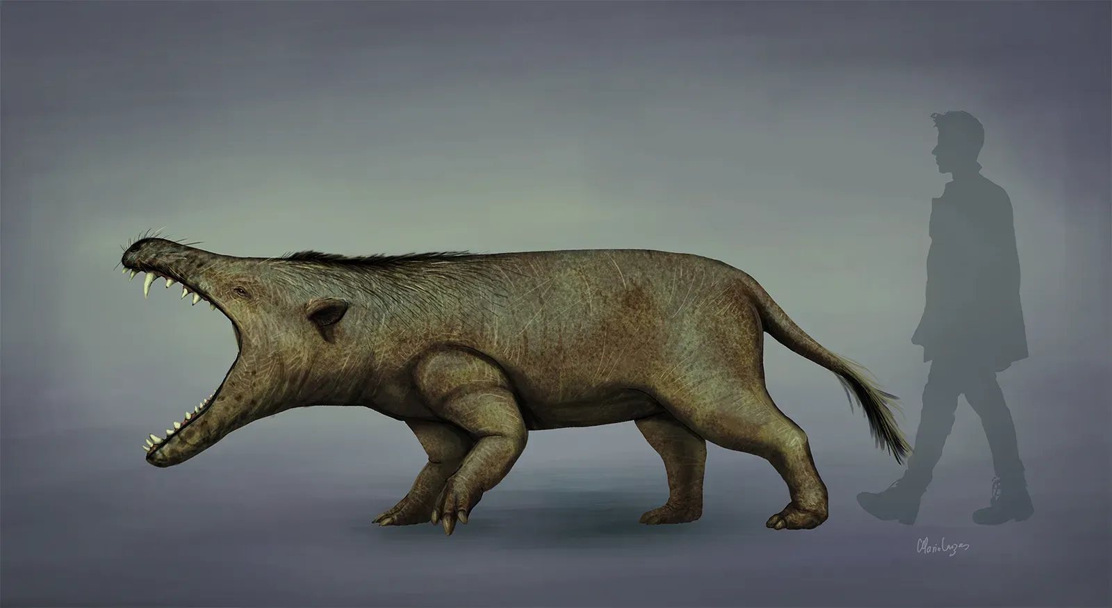 Andrewsarchus: The Hoofed Monster That Ate Everything (Image Credits: Wikimedia)