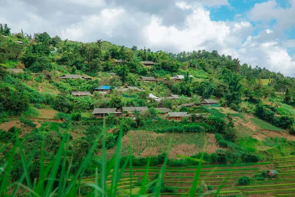 8. Climate Stability Allowed Denser, More Permanent Settlements (Image Credits: Pexels)