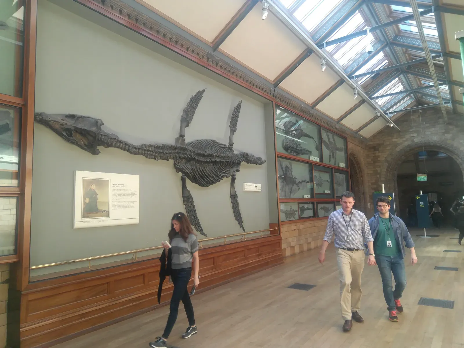 #13 - The "Sea Dragons" a Victorian Collector Secretly Rebuilt (By Rohitjahnavi, CC0)