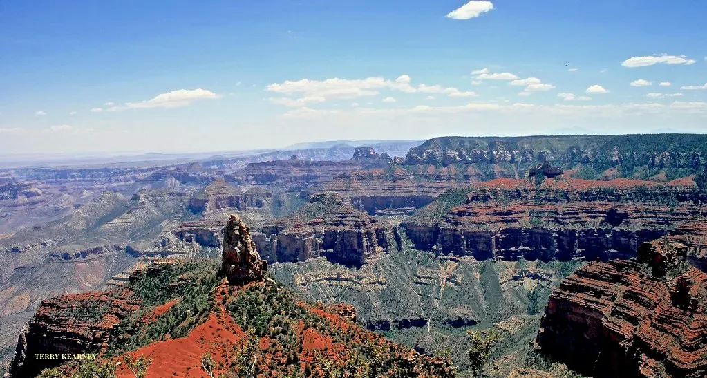 Reading the Paleozoic Story: Oceans, Beaches, and Ancient Life (Image Credits: Flickr)