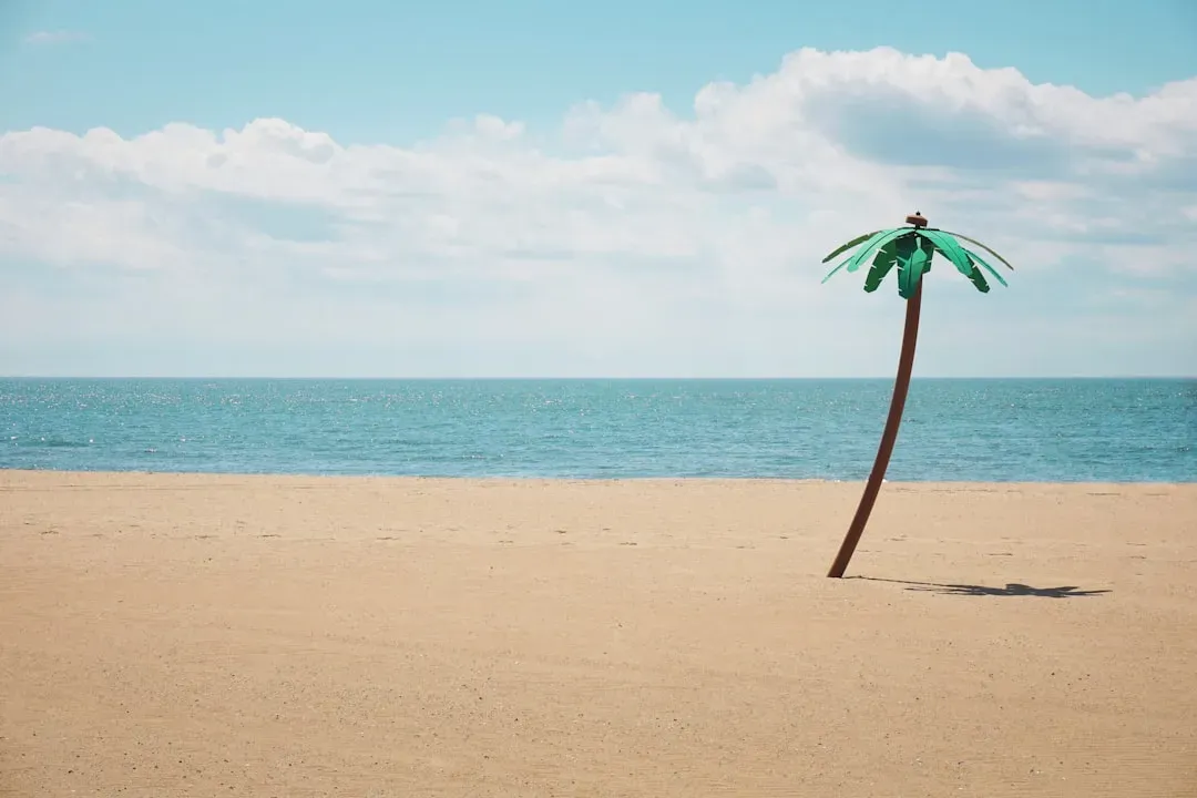 Why so many beaches are made of sand, not pebbles or mud (Image Credits: Unsplash)
