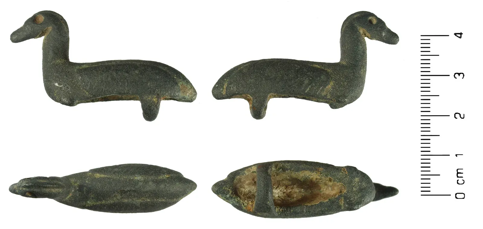 Animals as Cosmic Connectors (Image Credits: Wikimedia)