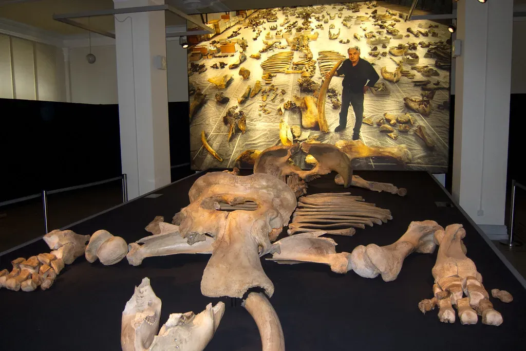 #7 - The "Humans Did It" Theory That Fell Apart Under Scrutiny (quinet, Flickr, CC BY 2.0)