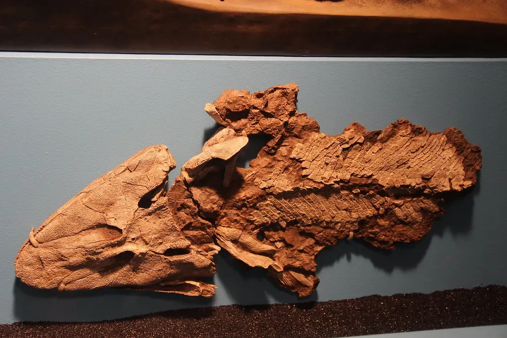 Conclusion: A Story Written in Stone and Still Being Read (Image Credits: Flickr)