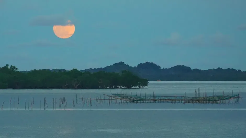 Tides, Coastlines, And The First Steps Toward Land Life (Image Credits: Pexels)