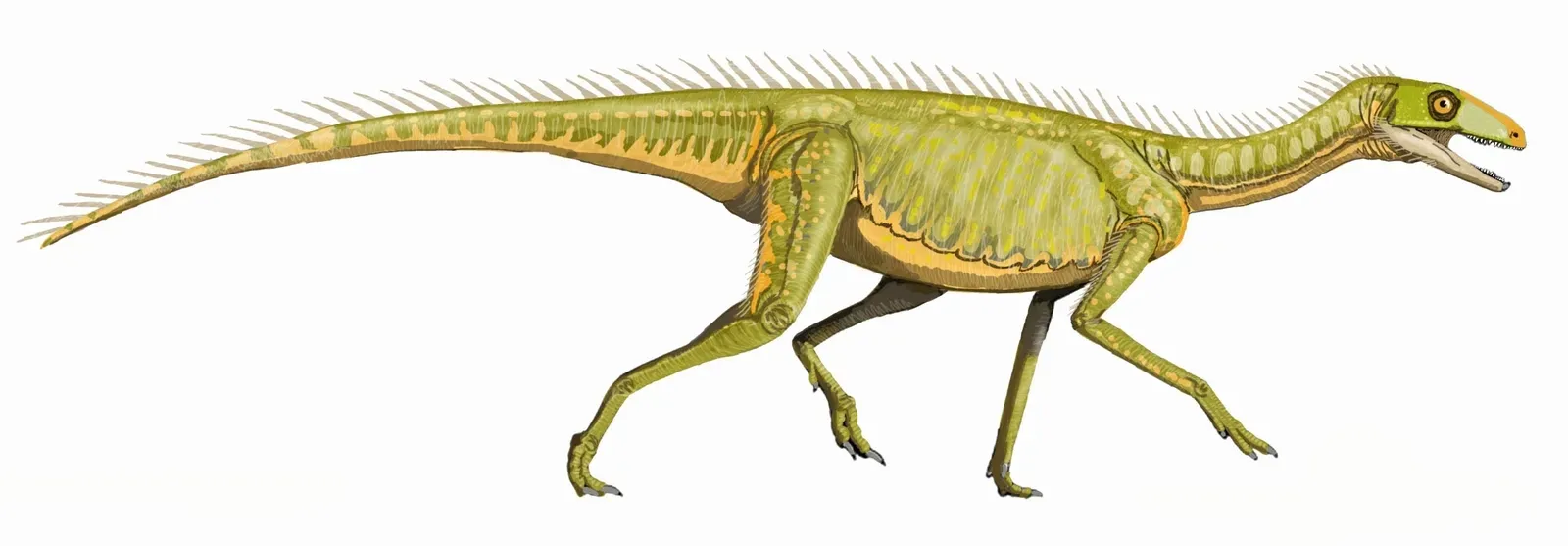 Silesaurus and the Dinosaur Relatives That Nearly Were (Image Credits: Wikimedia)