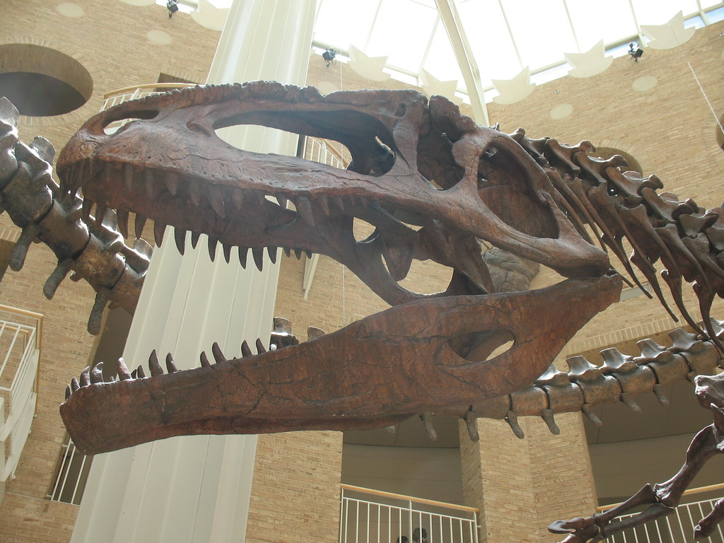 Offensive Capabilities: Teeth, Claws, and Crushing Power (Image Credits: Flickr)