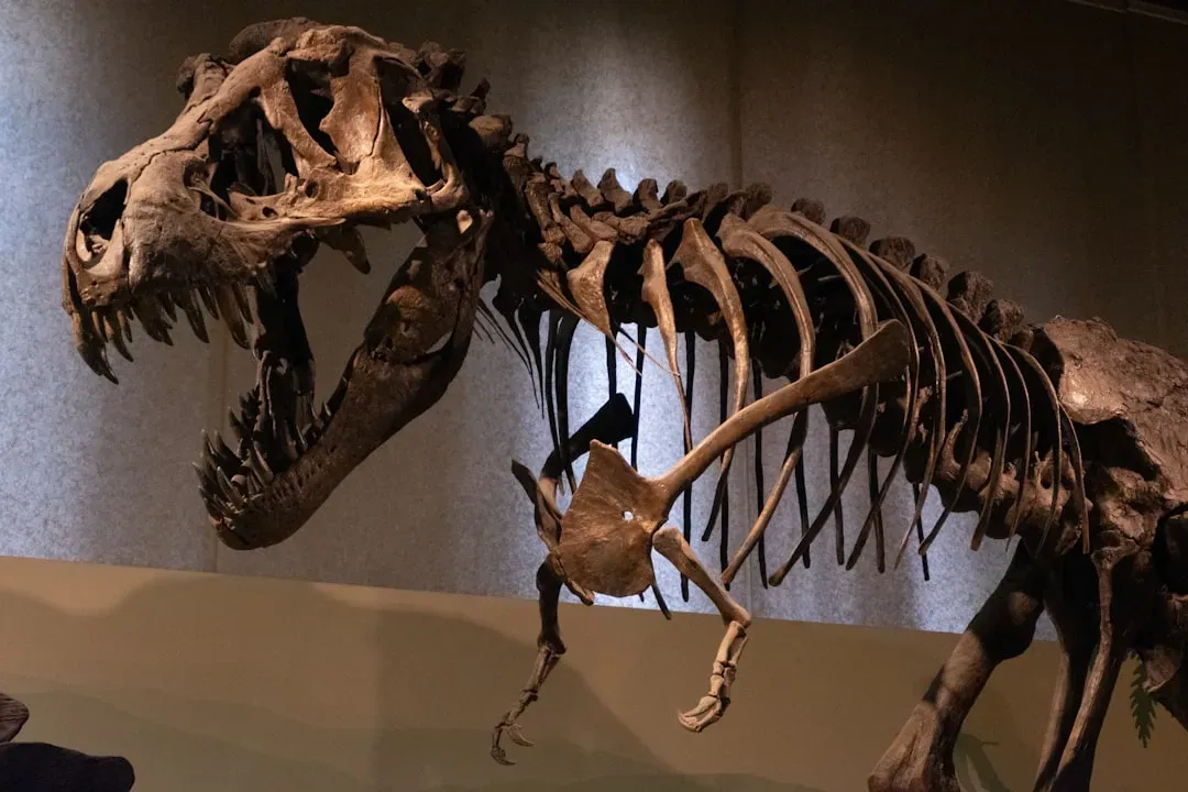Incomplete fossils mean educated guesswork (Image Credits: Unsplash)
